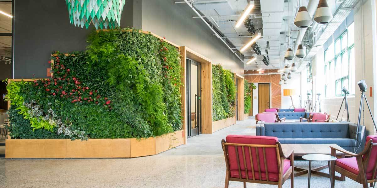 A Green Wall at Etsy HQ