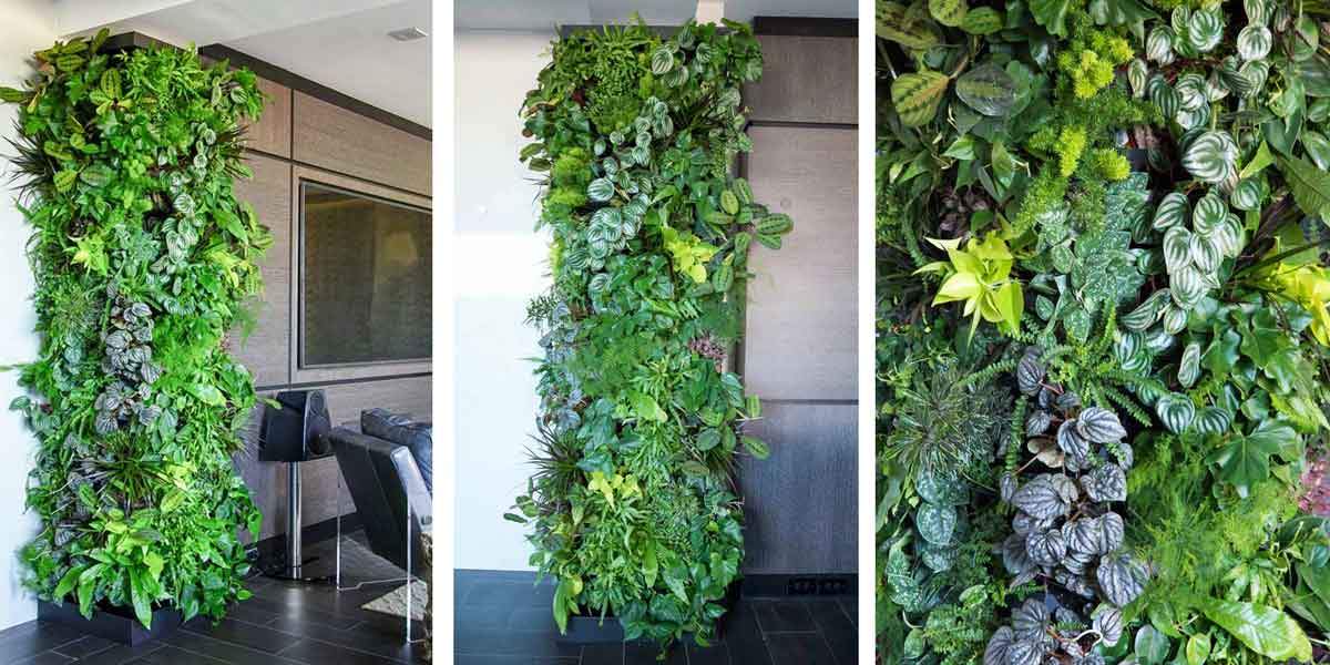 Living Wall at a Private Residence in NYC