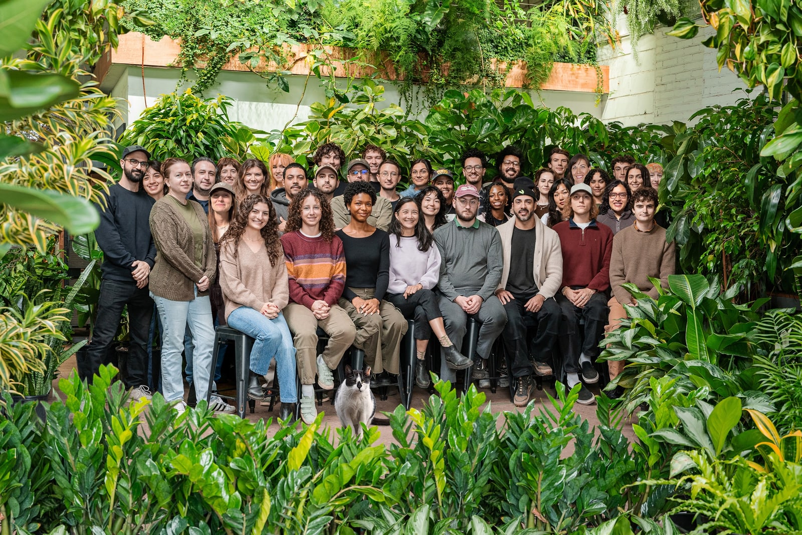 The Greenery NYC team