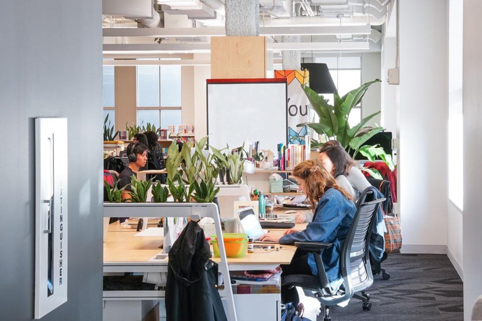 Employees working at their desks surrounded by plants in a biophilic office designed by Greenery NYC