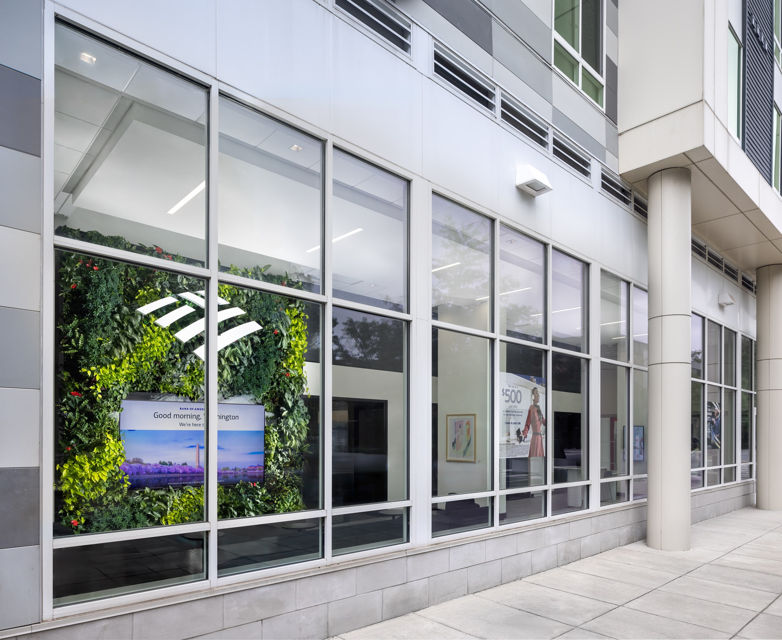 Office plant design for a national bank at The Wharf in Washington, D.C. by Greenery NYC