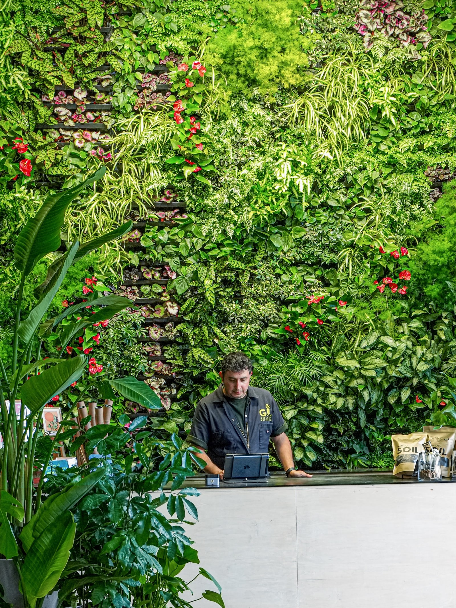 Lush living green wall installation by Greenery NYC