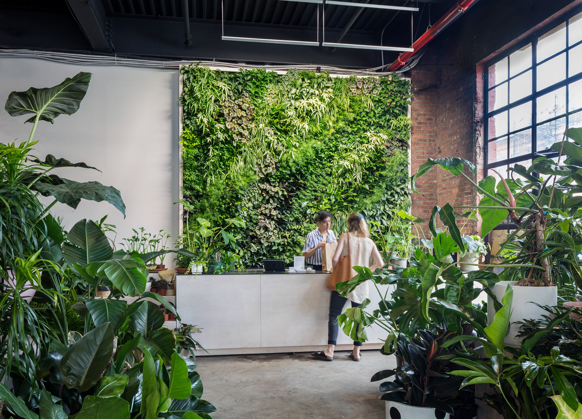 Green Walls in Chicago