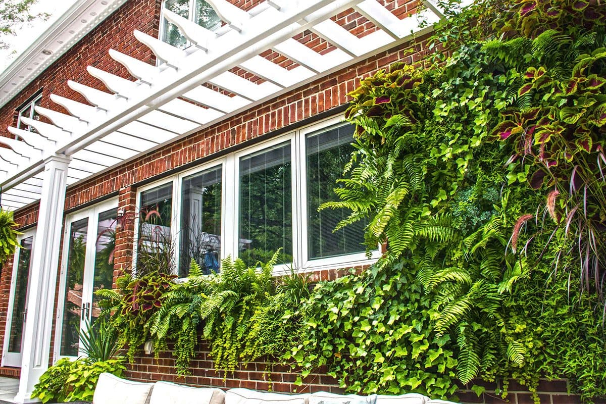 Great Neck Backyard landscape design by Greenery NYC