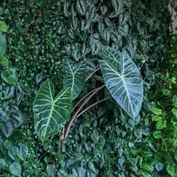 Felt Pockets green wall system by Greenery NYC