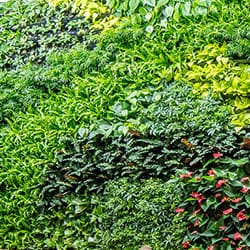 Tray Systems green wall system by Greenery NYC