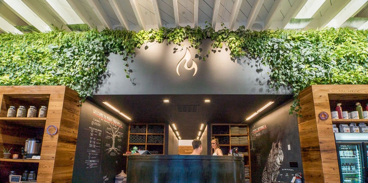 Modo Yoga Williamsburg — Greenery NYC project photo 1