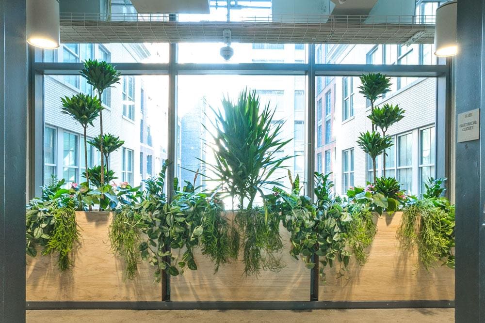 TED Talks HQ — Greenery NYC project