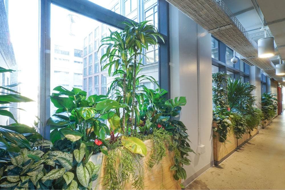 TED Talks HQ — Greenery NYC project photo 1