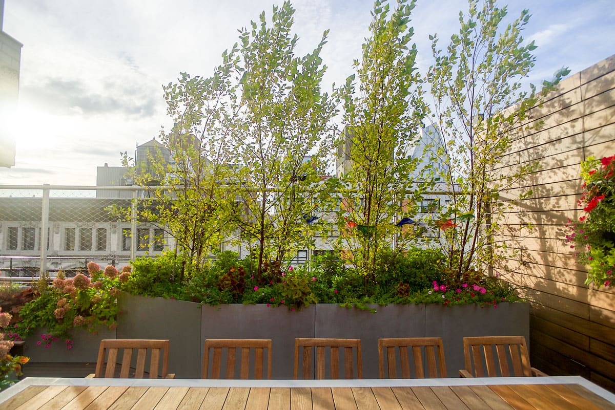 Union Square Terrace — Greenery NYC project