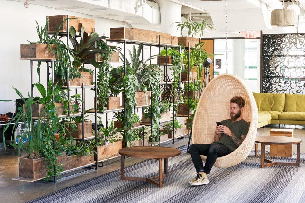 Etsy HQ — Greenery NYC project photo 1