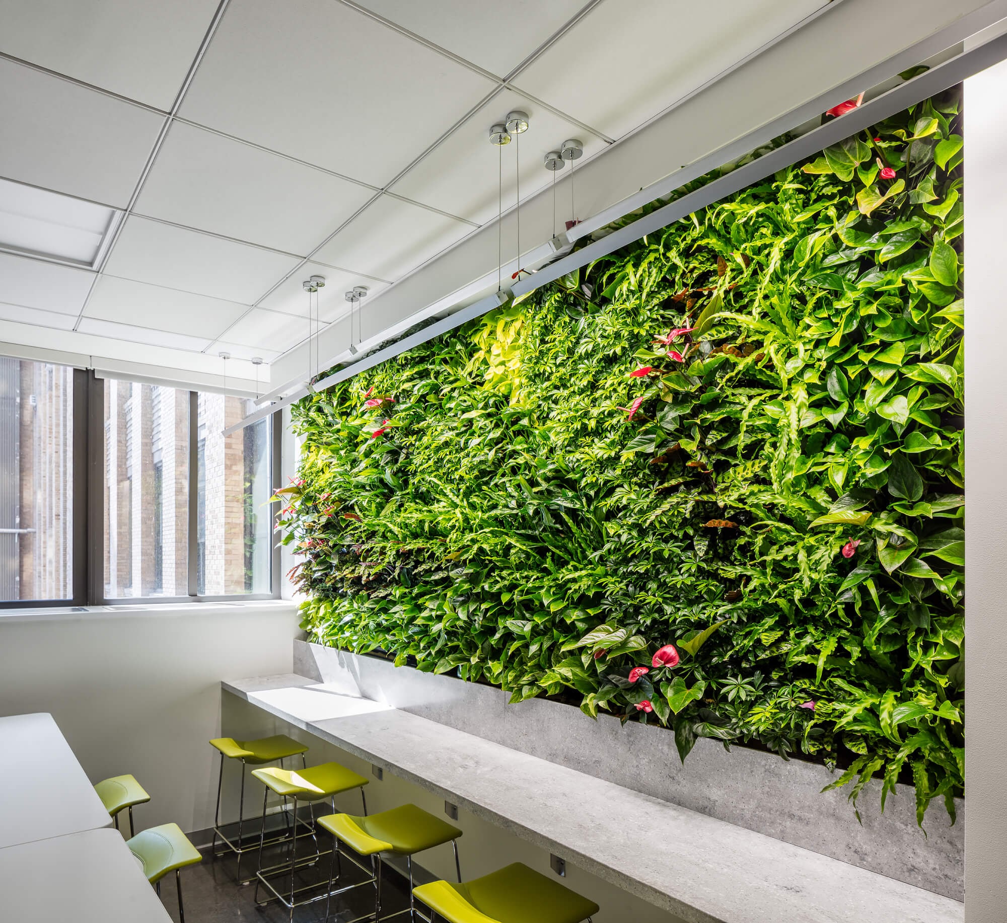 Columbia University — Greenery NYC project photo 1