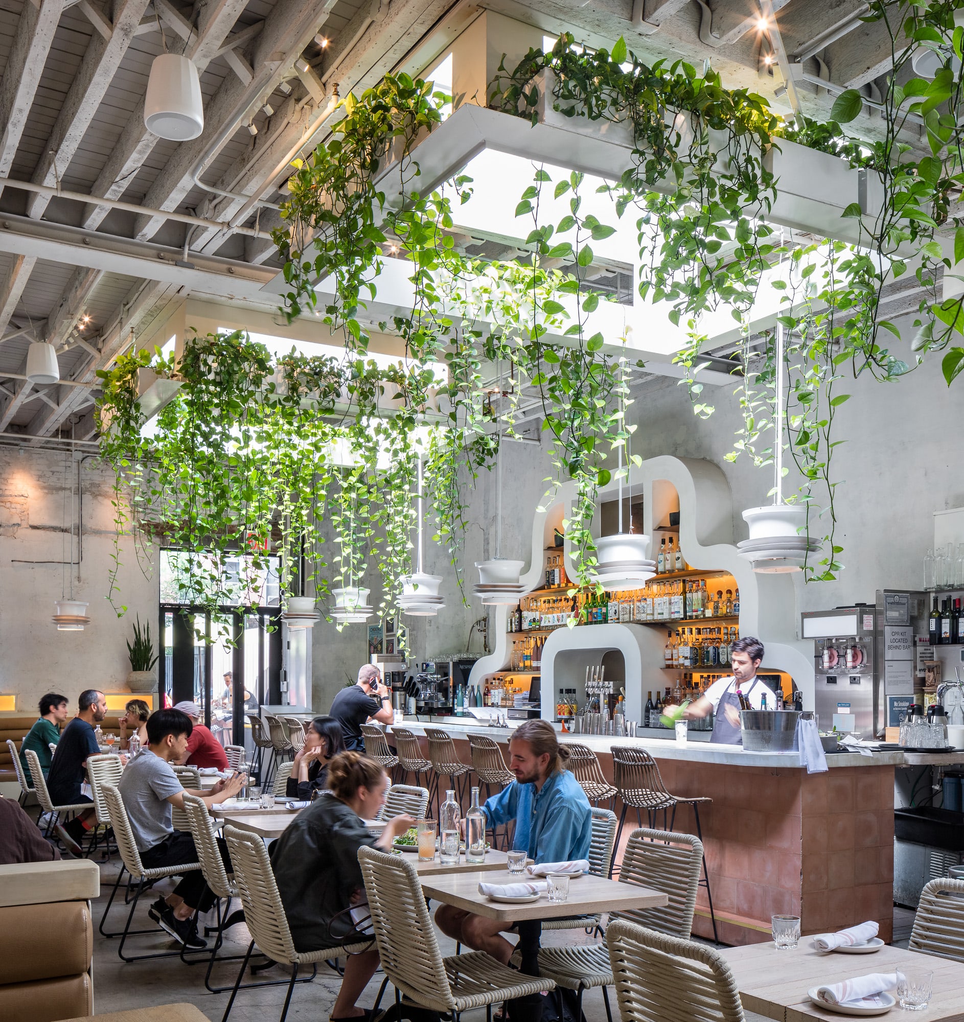 Oxomoco — Greenery NYC project