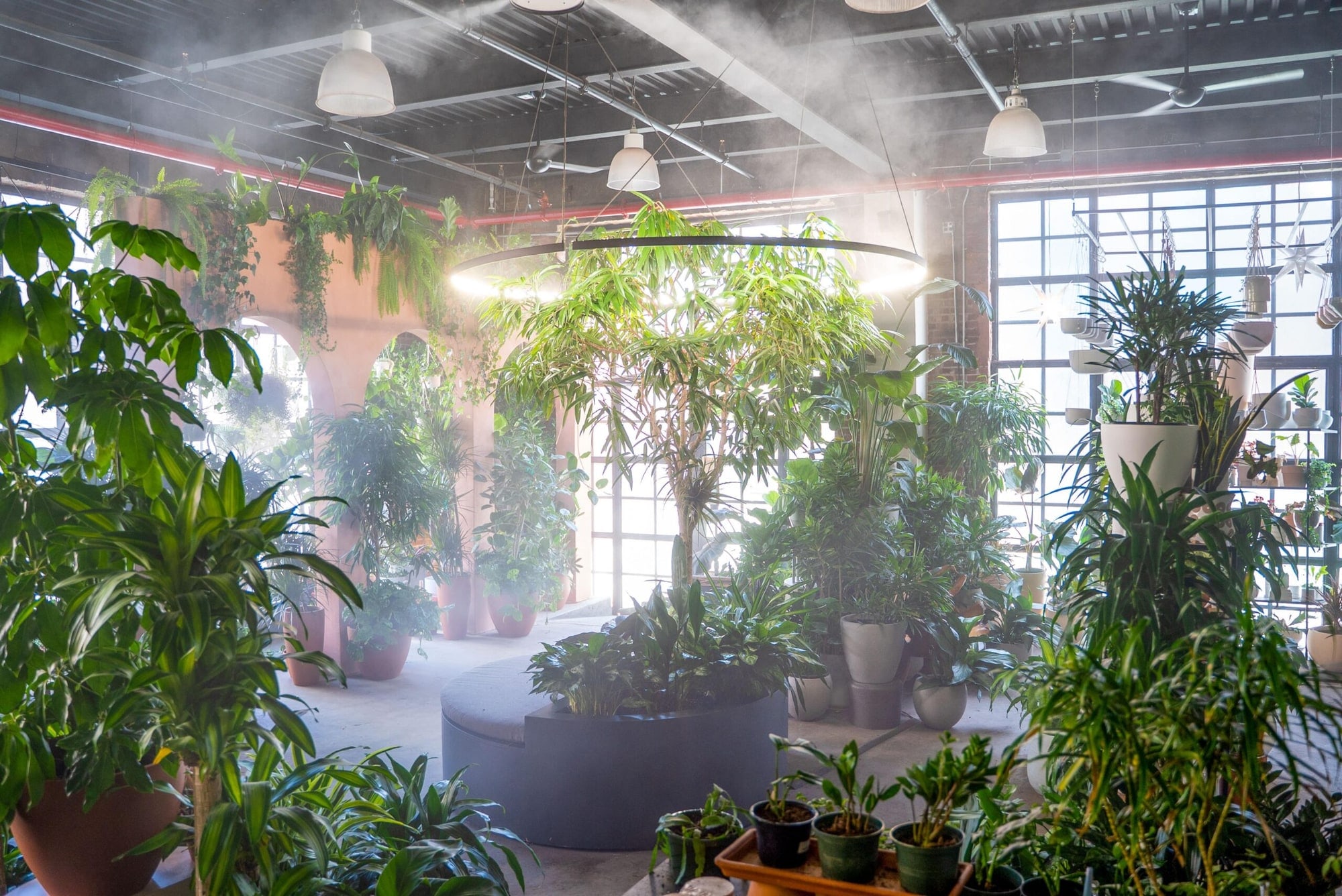 The Greenery Unlimited biophilic design store and showroom in Greenpoint, Brooklyn