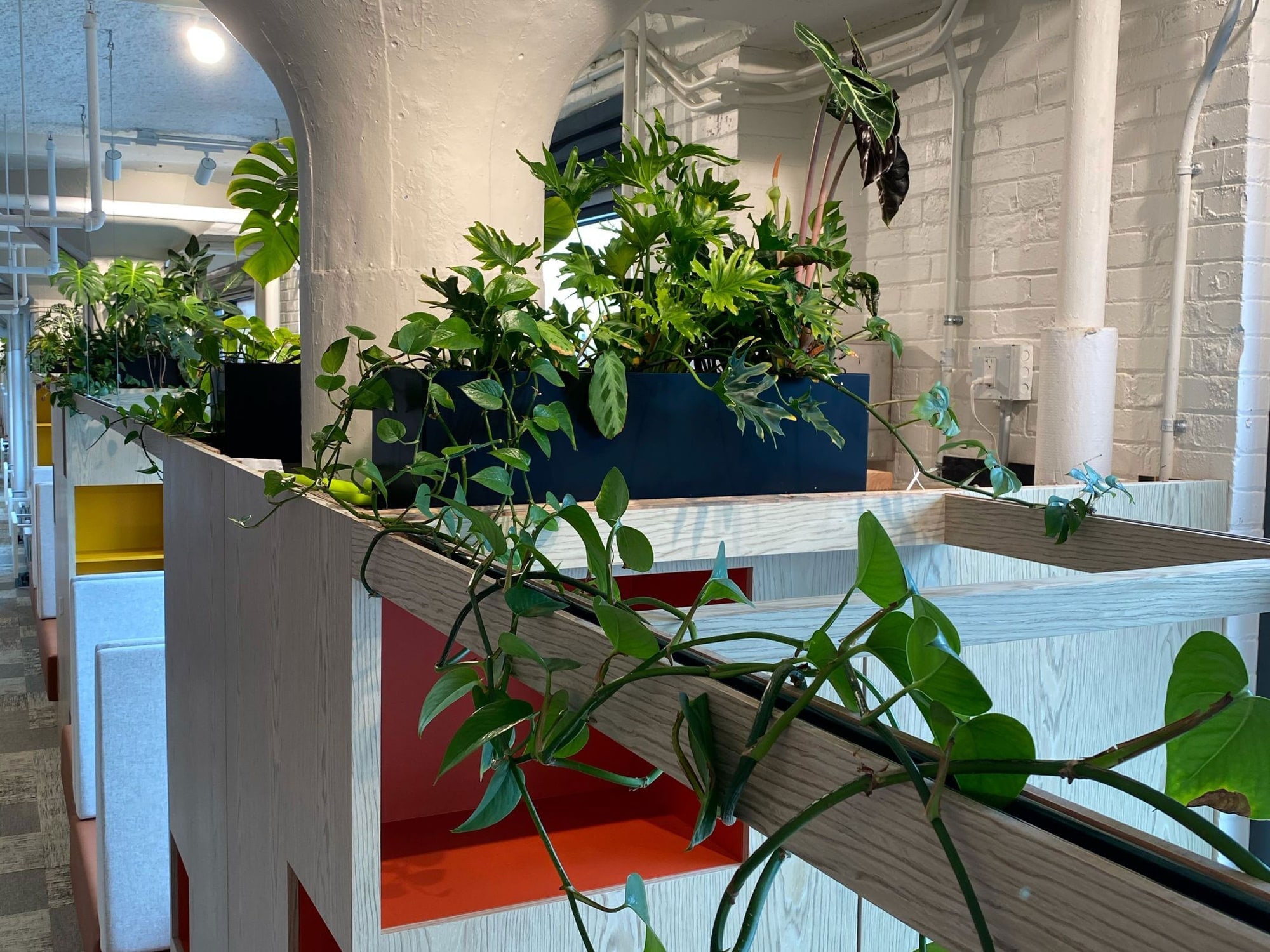 Unnamed Tech Client — Greenery NYC project