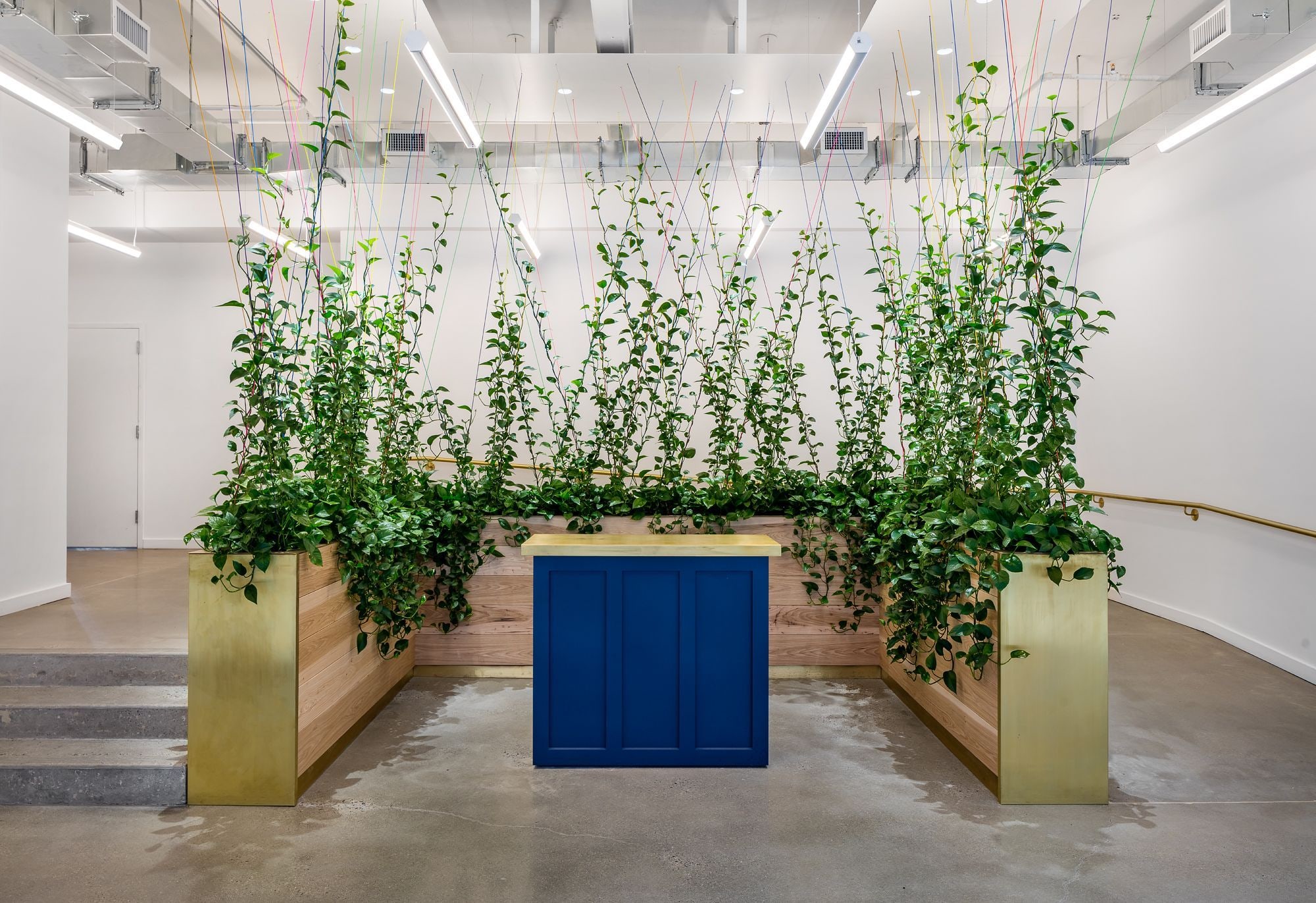 Kaufman Organization — Greenery NYC project