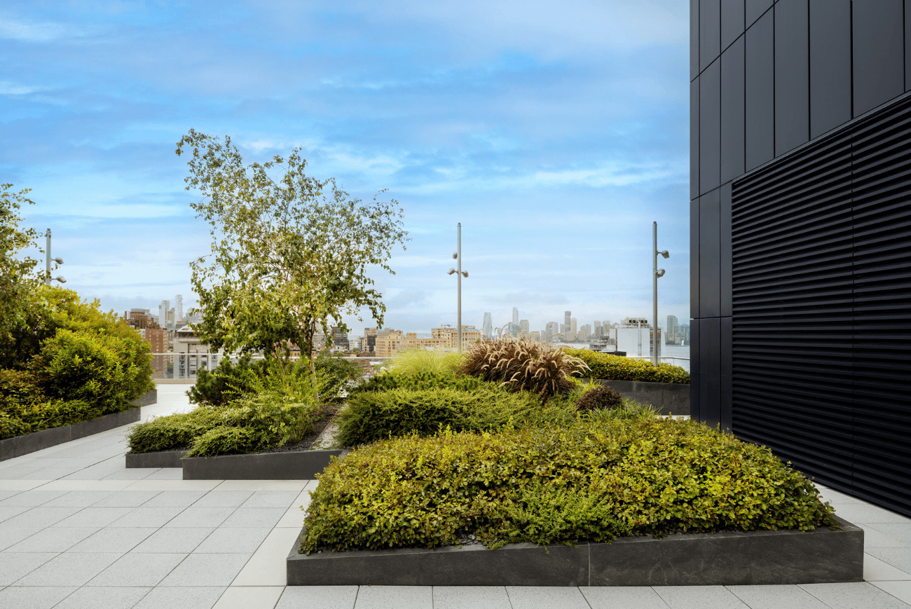 Landscape Design in Chicago