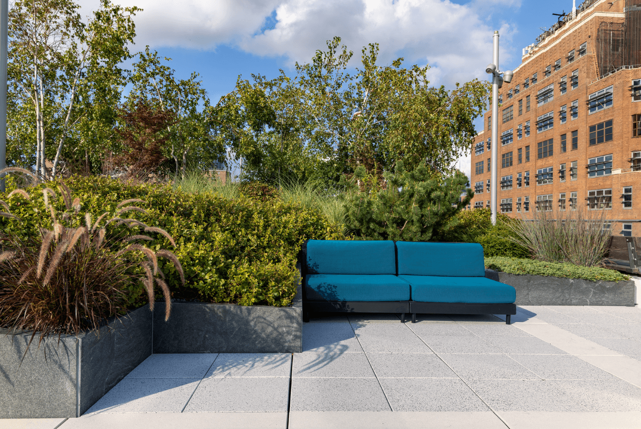 Chelsea Rooftop — Greenery NYC project