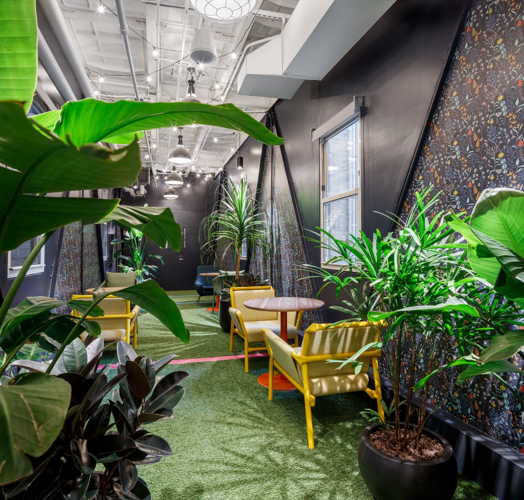 Chelsea Market office plant design and green wall dividers by Greenery NYC