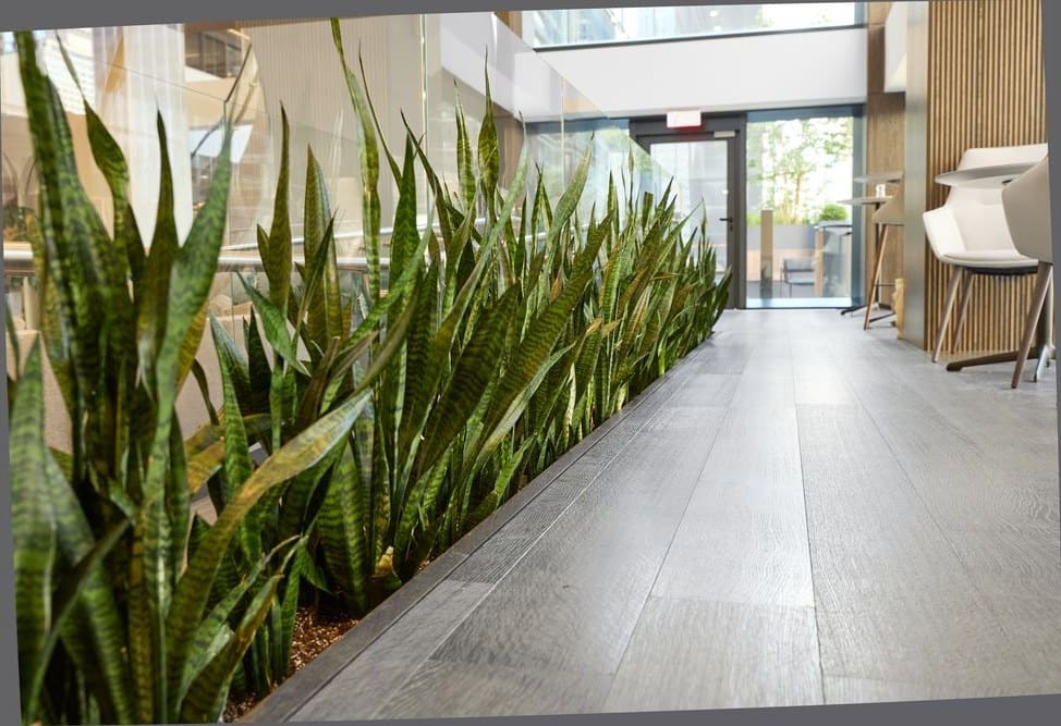 Confidential Financial Firm — Greenery NYC project photo 1