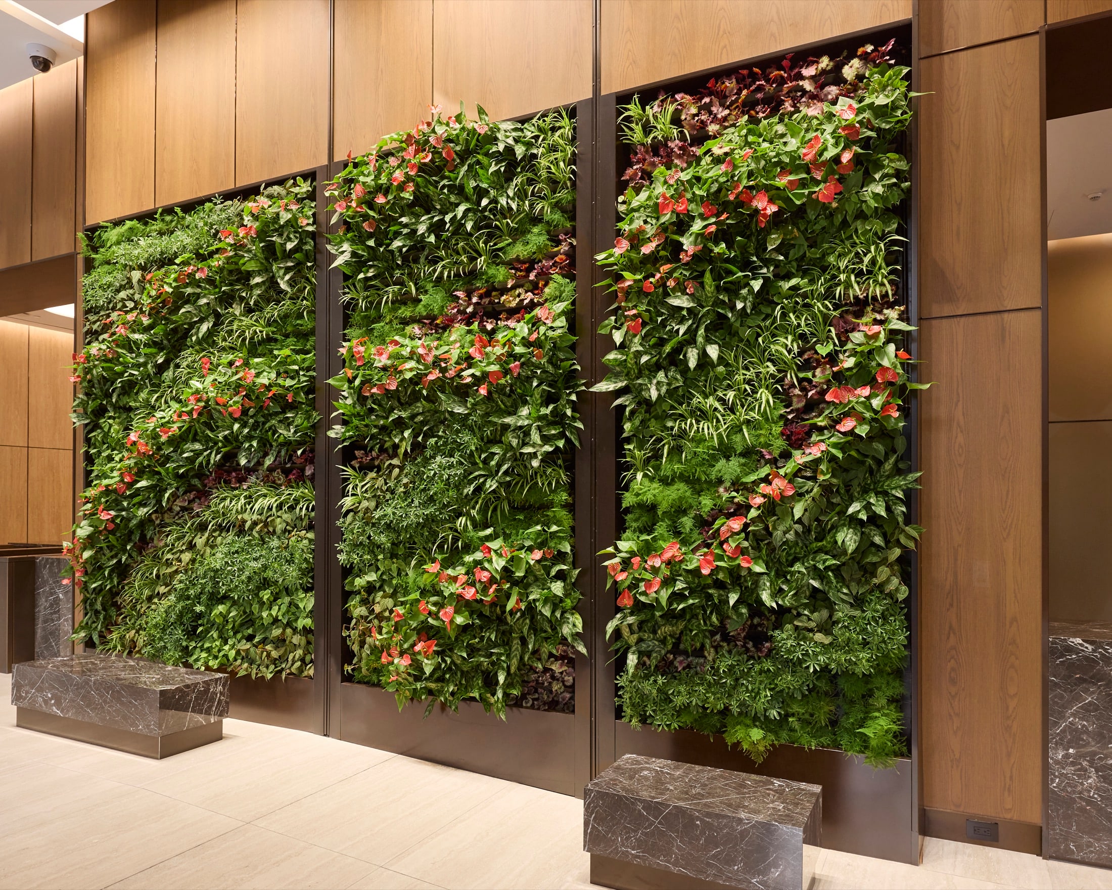 Triptych living wall with red anthuriums and asparagus ferns in a financial services lobby, by Greenery NYC