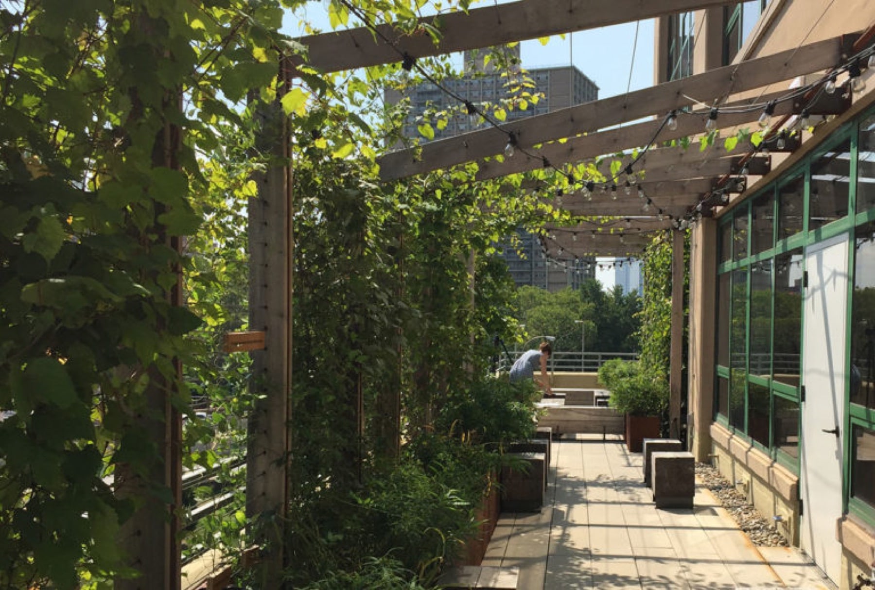 Etsy HQ Rooftop Terrace — Greenery NYC project photo 1