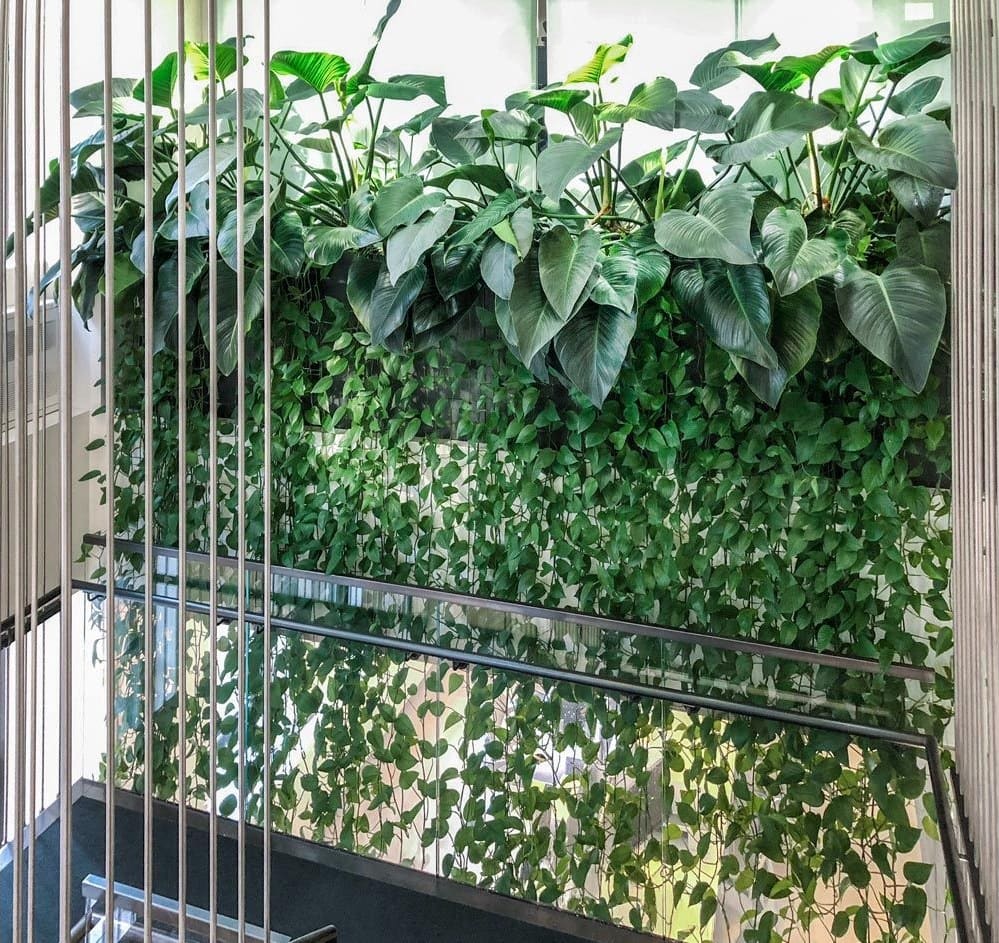 Two storeys of pothos and philodendron cascading down the General Electric headquarters staircase, installed by Greenery NYC