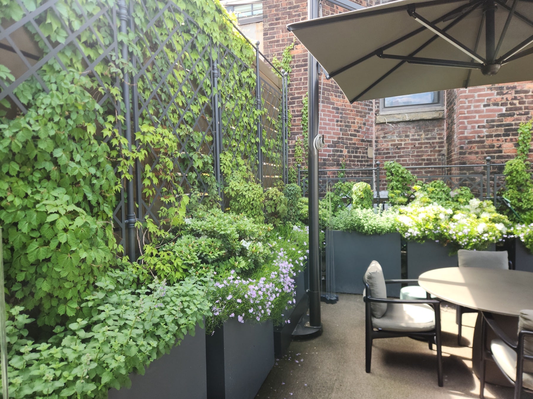 Gessi House — Greenery NYC project photo 1