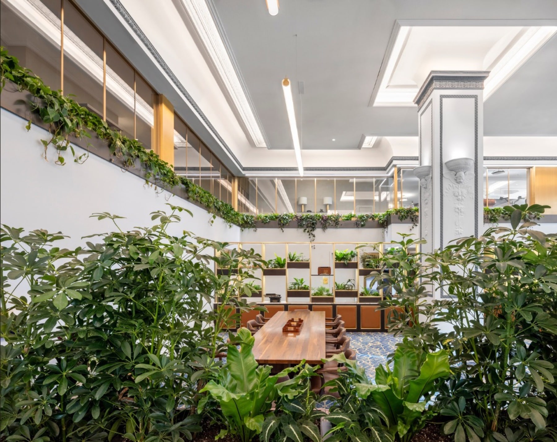 Landmark Manhattan office biophilic design by Greenery NYC for a global investment firm