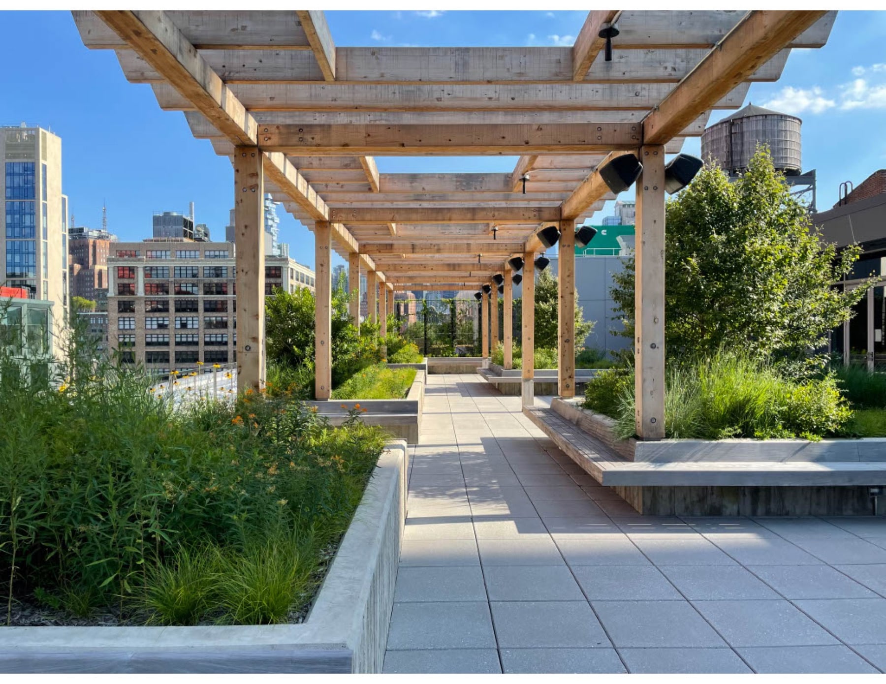 Google — Hudson Square Rooftop landscape design by Greenery NYC