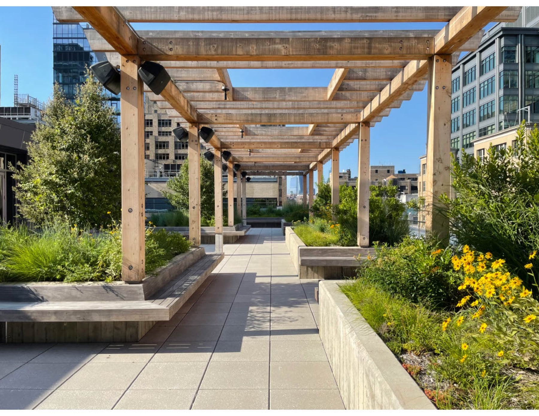 Google — Hudson Square Rooftop — Greenery NYC project photo 1