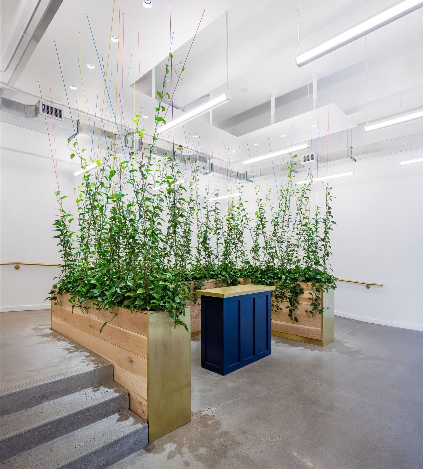 Kaufman Organization — Greenery NYC project photo 1