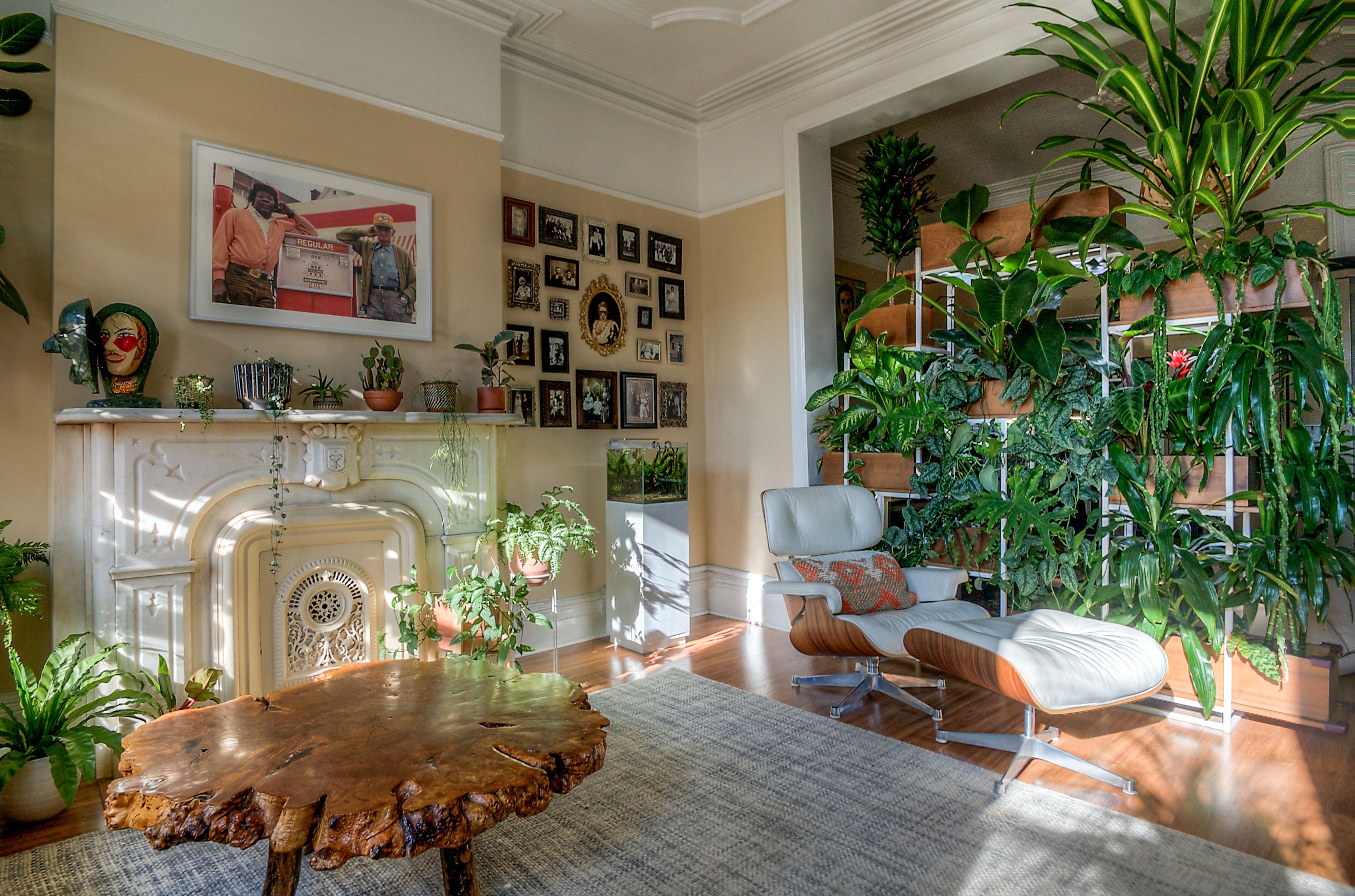 Greenpoint Apartment - Greenery NYC | A Biophilic Design ...