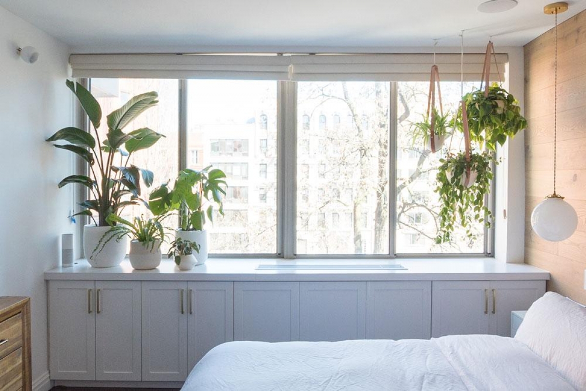 East Village Apartment Greenery NYC A Botanic Design Company