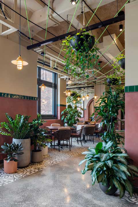 Interior of a restaurant with lush green plants and potted plants creating a cozy and inviting atmosphere.