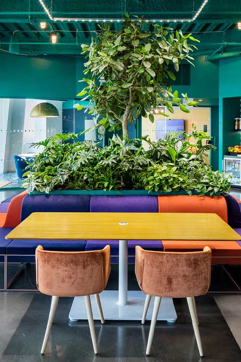 Hero Tree and Millwork planting inside a seating banquette located in an office cafe.