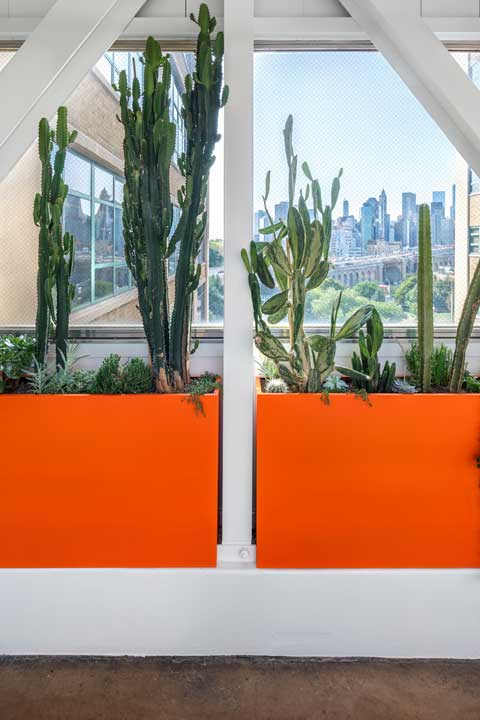 Orange planter filled with cacti, complemented by hanging plants.