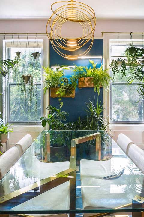 Hanging house plants in front of windows of a blue apartment in Brooklyn.