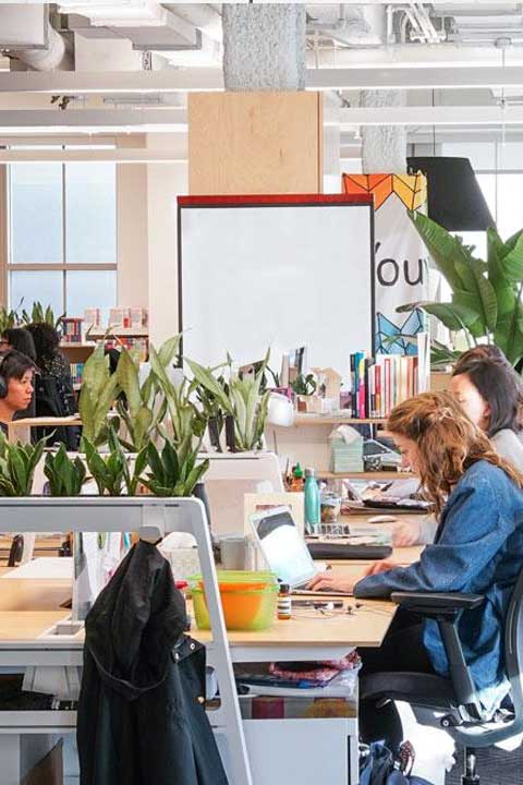 Employees working at desks that have plants on each side of the cubicle.