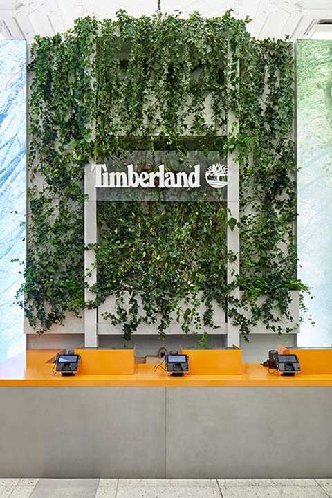 Hanging Ivy behind Timberland's brand signage at a retail location cash register.
