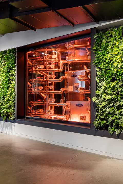 Plant wall surrounding a window that showcases technology.