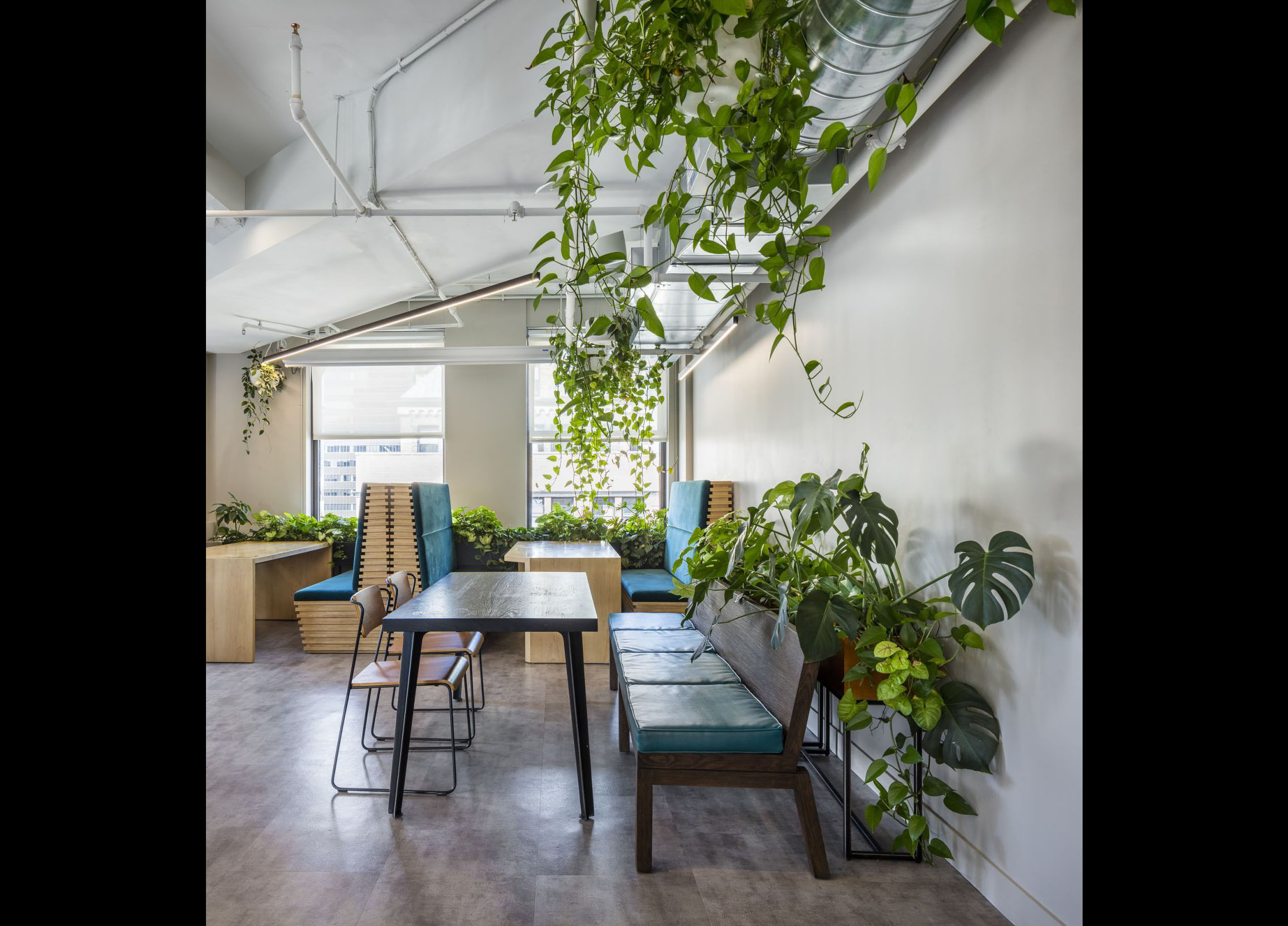 NYC Office Plant Services