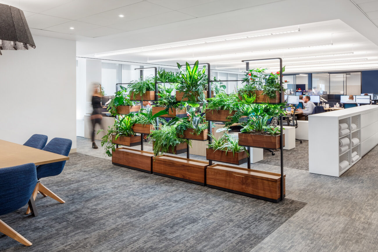 A big office featuring decorative plants situated on a room divider