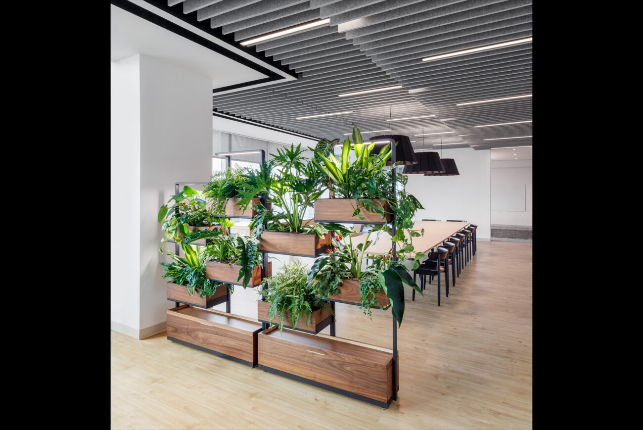 Office interior with decorative plant filled room divider