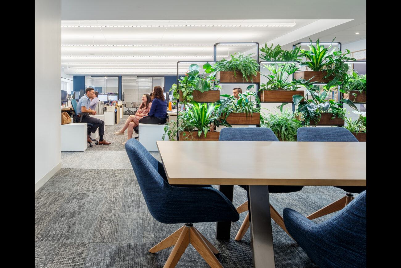 A room filled with plants, where a team of people are seated around a table, having a meeting.