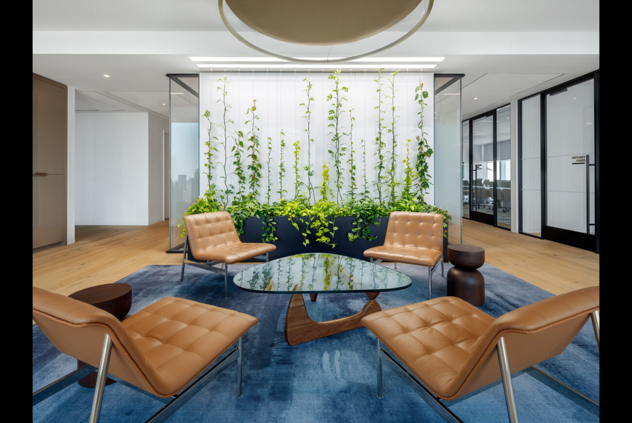 An office with leather chairs surrounding a glass coffee table in the middle, set on a blue carpeted floor with climbing vines planted behind them.