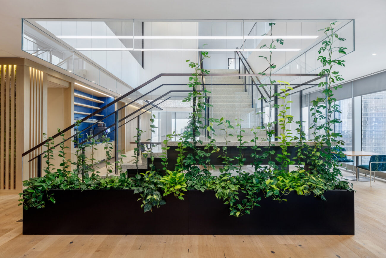 An office space with lush green plants and a staircase leading to different levels which is also covered in climbing vines.
