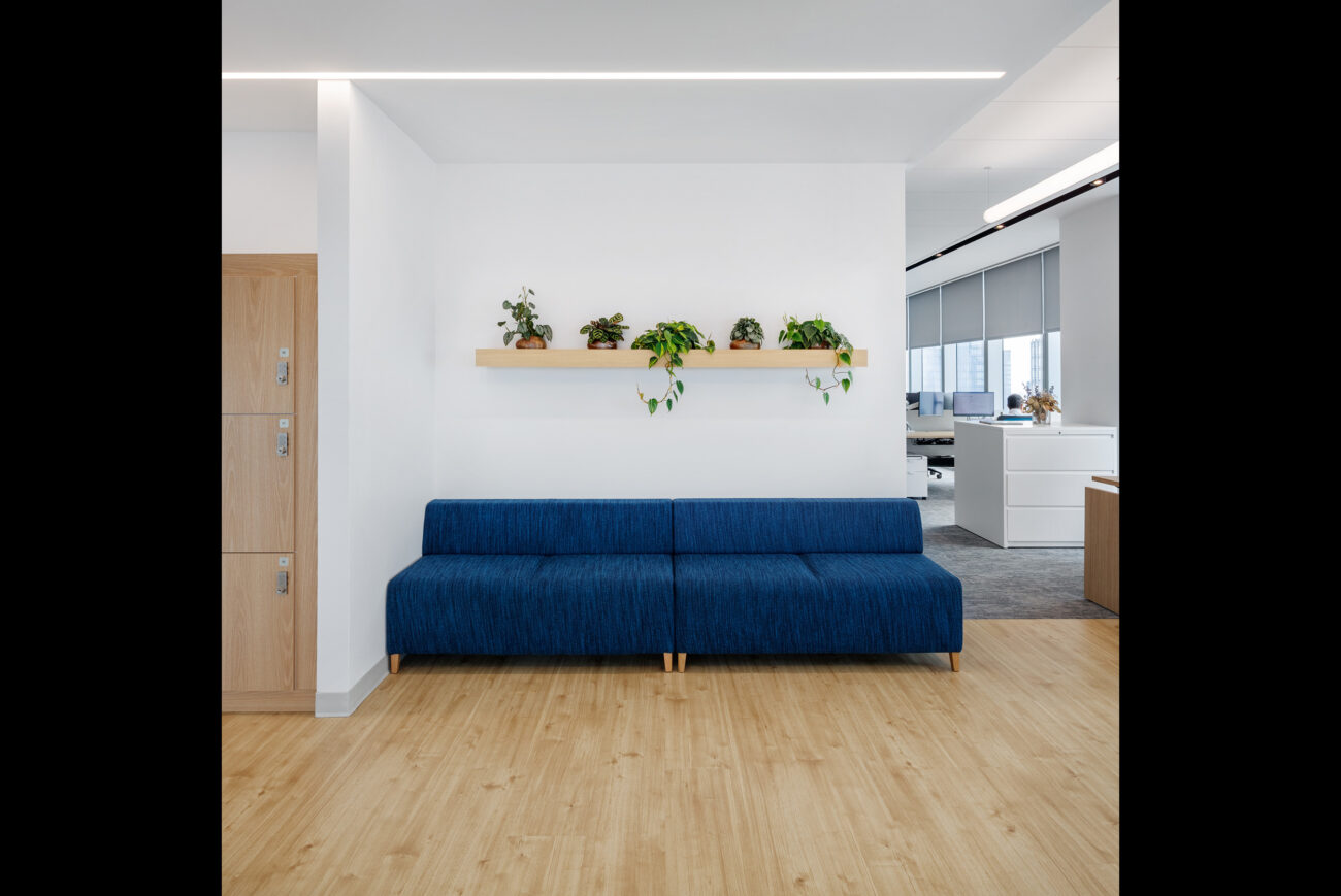 In an office with wooden floors, a blue couch is accompanied by plants on a shelf above it.