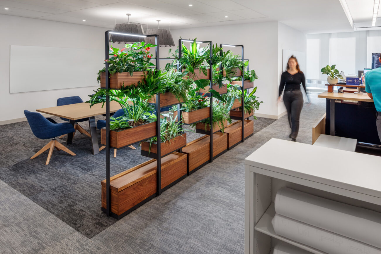 A spacious office with green plants inside a room divider.