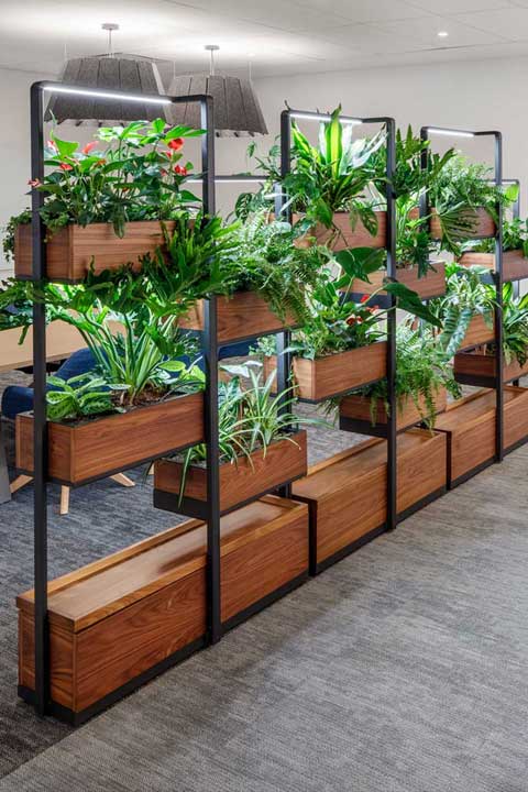 A lush green plant display in a beautifully designed office space, adding a touch of nature to the surroundings.